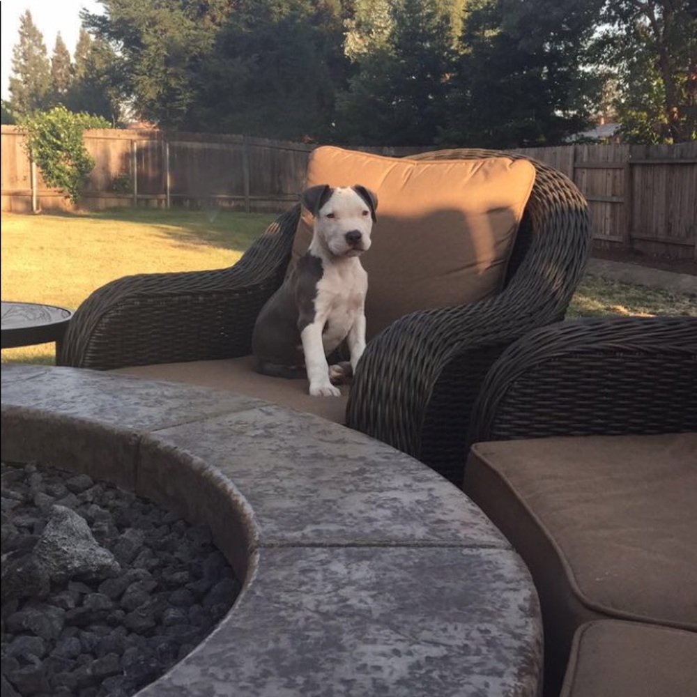 Meet your Posher, Kylee